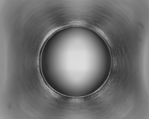X0000112081339200908111447