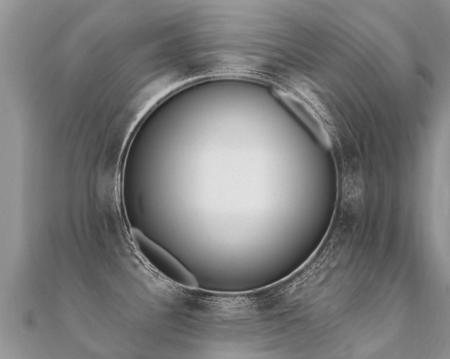 X0000112081340200908111447