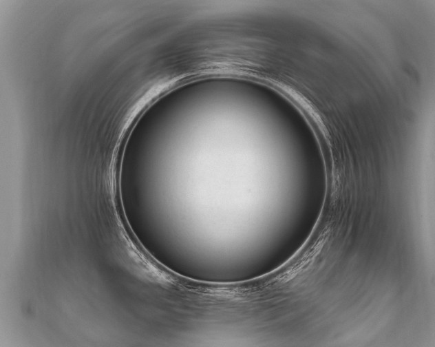 X0000112081341200908111447