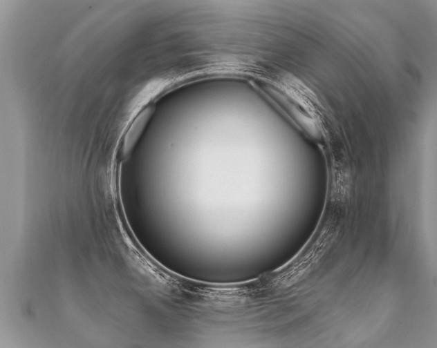 X0000112081342200908111447