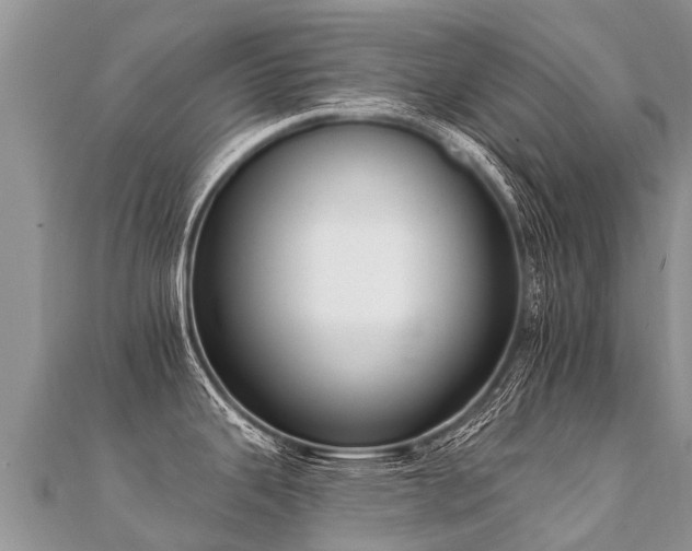 X0000112081343200908111447