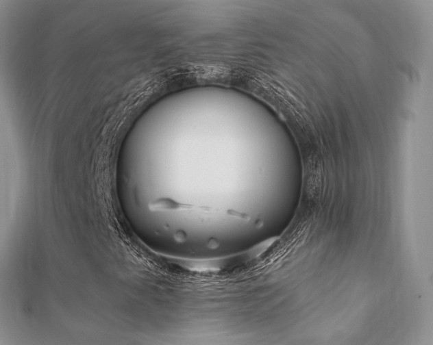 X0000112081345200908111446