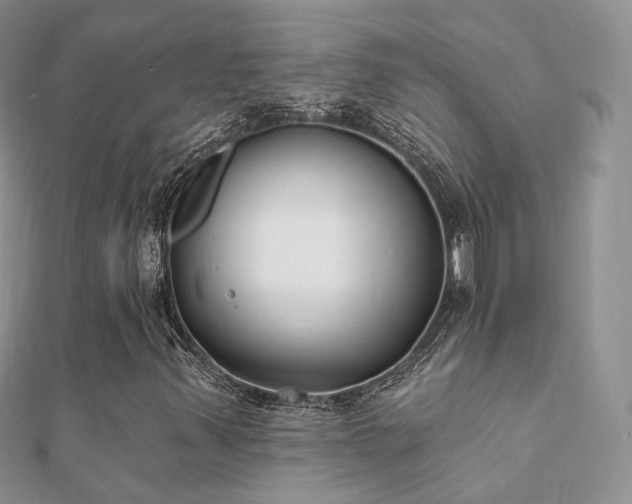 X0000112081347200908111446