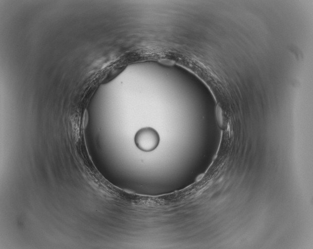 X0000112081348200908111446