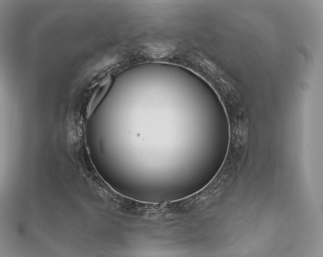 X0000112081349200908111446