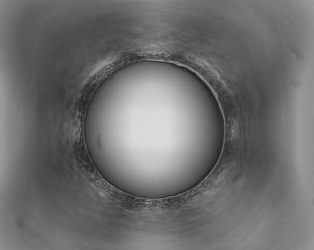 X0000112081350200908111446