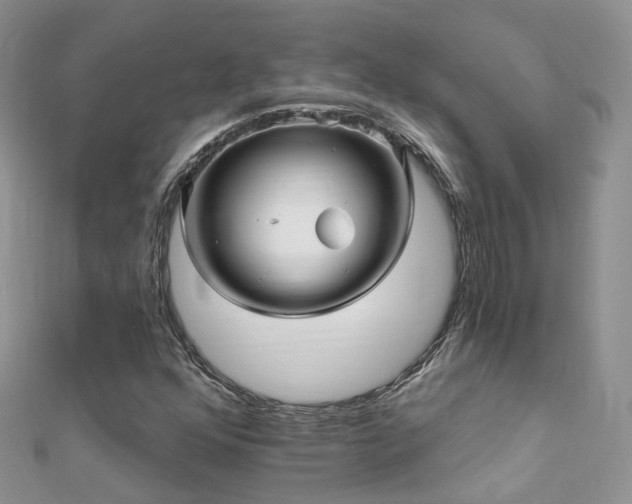 X0000112081352200908111446