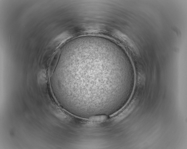 X0000112081353200908111446