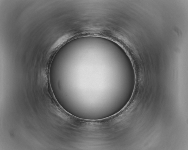 X0000112081354200908111446