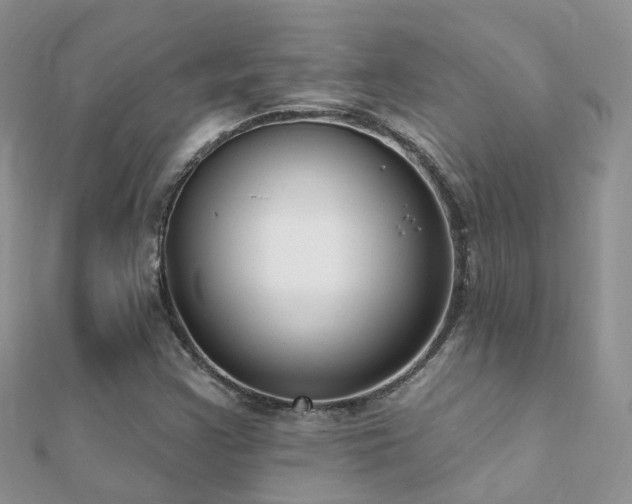 X0000112081355200908111446