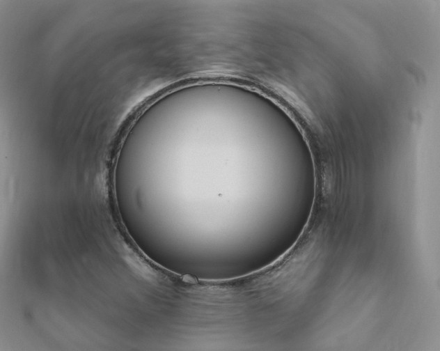 X0000112081356200908111446