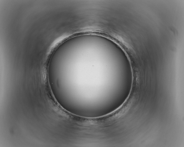 X0000112081358200908111446