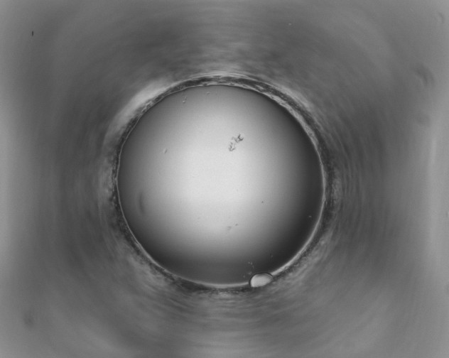 X0000112081359200908111446
