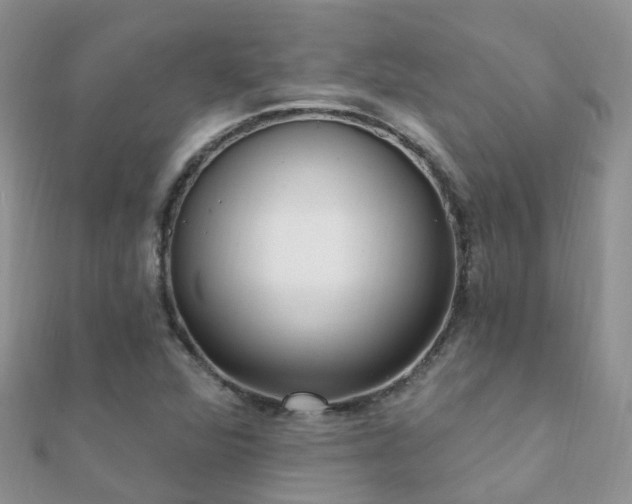 X0000112081360200908111446