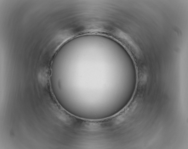 X0000112081361200908111446