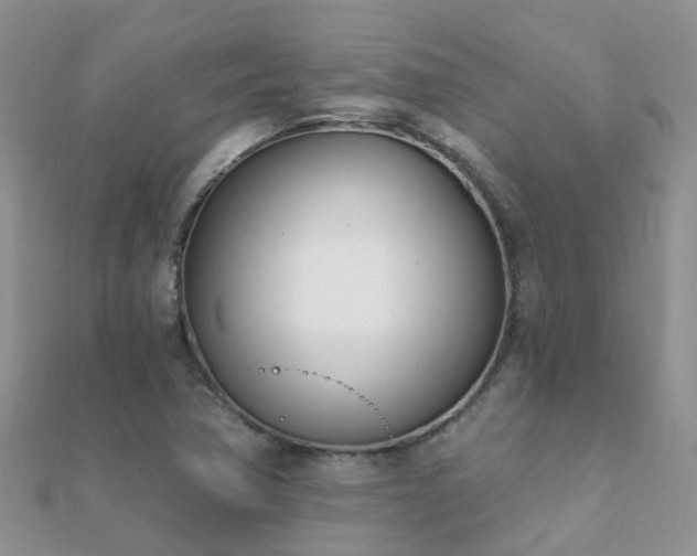 X0000112081362200908111446