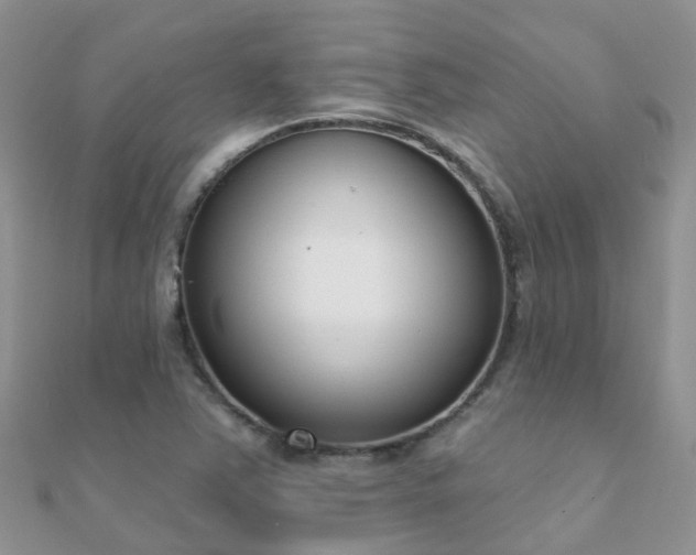 X0000112081363200908111446