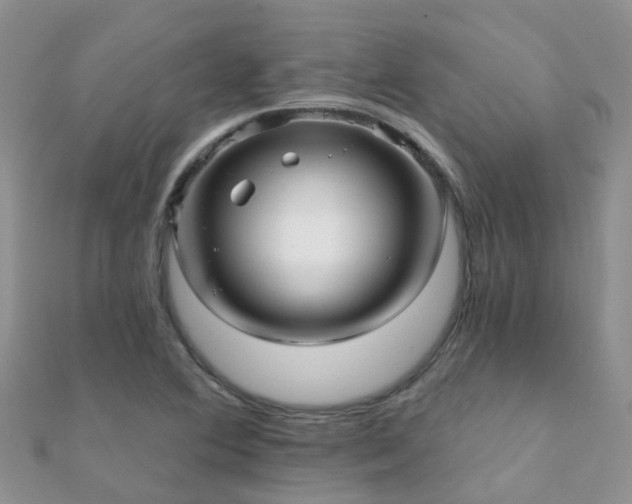 X0000112081364200908111446