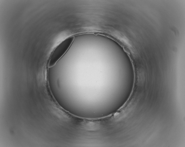 X0000112081365200908111446