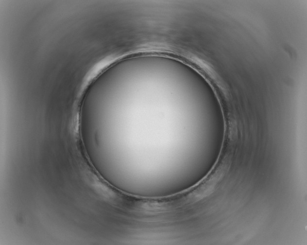 X0000112081366200908111446