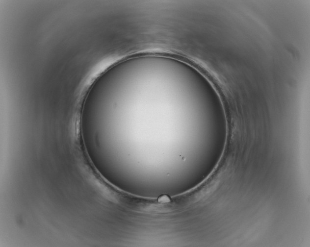 X0000112081367200908111446