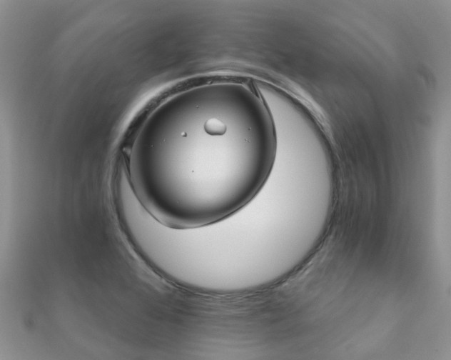 X0000112081368200908111446