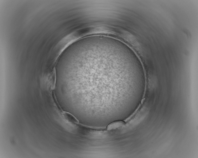 X0000112081369200908111446