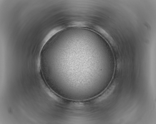 X0000112081370200908111446