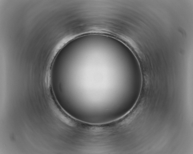 X0000112081371200908111446