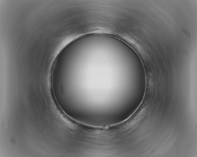 X0000112081375200908111446