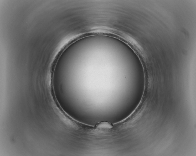 X0000112081376200908111446