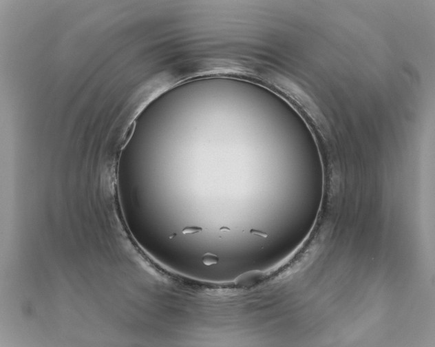 X0000112081377200908111446