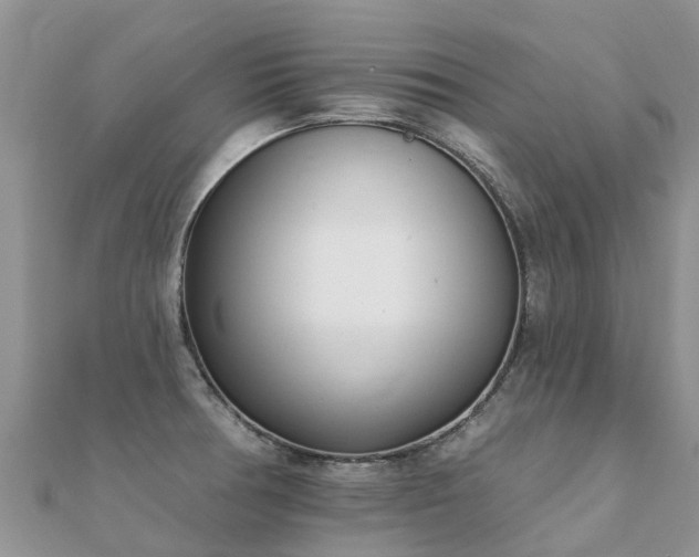 X0000112081378200908111446