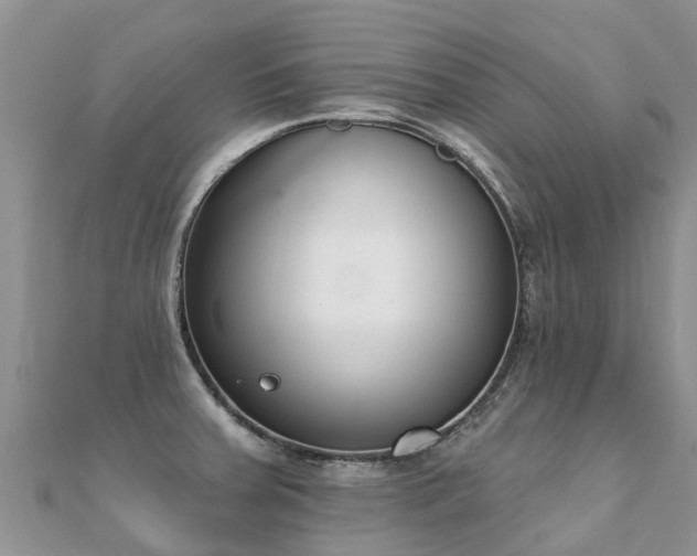 X0000112081379200908111446