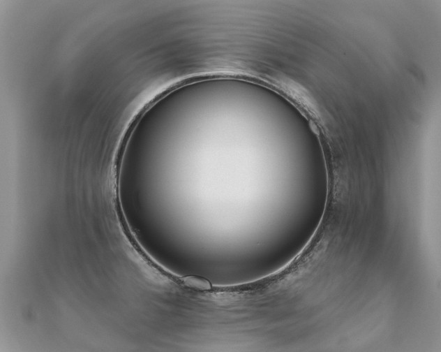 X0000112081380200908111446