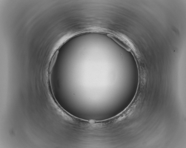X0000112081381200908111446