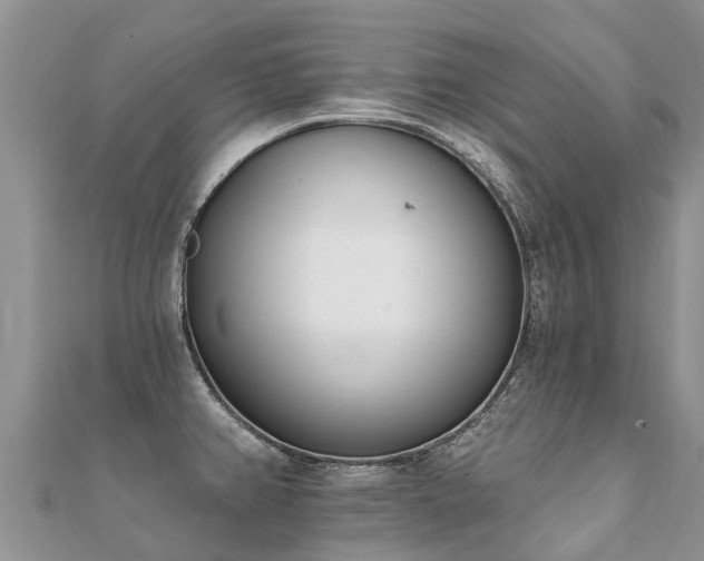 X0000112081382200908111446