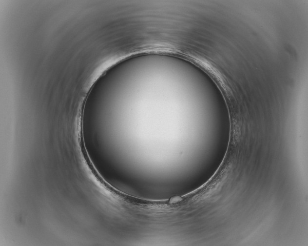 X0000112081383200908111446
