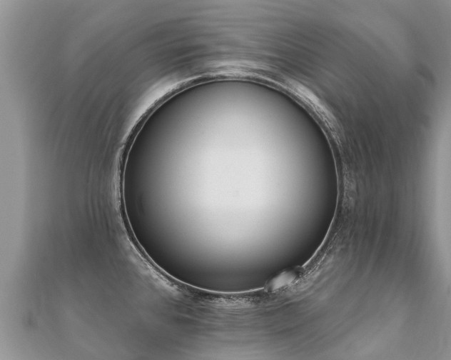 X0000112081384200908111446