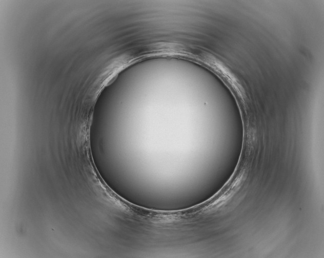 X0000112081385200908111446