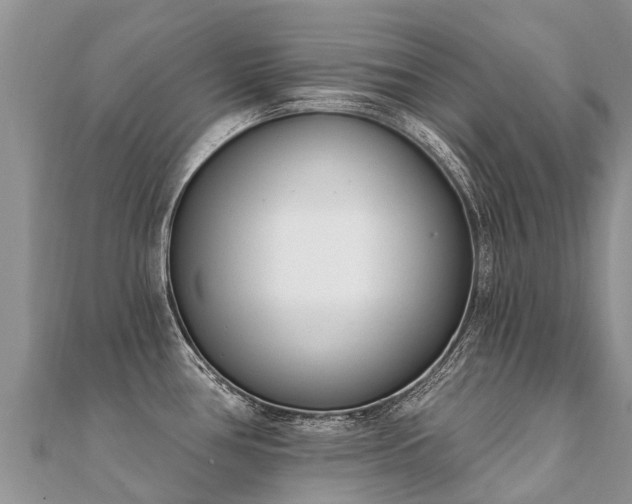 X0000112081386200908111446
