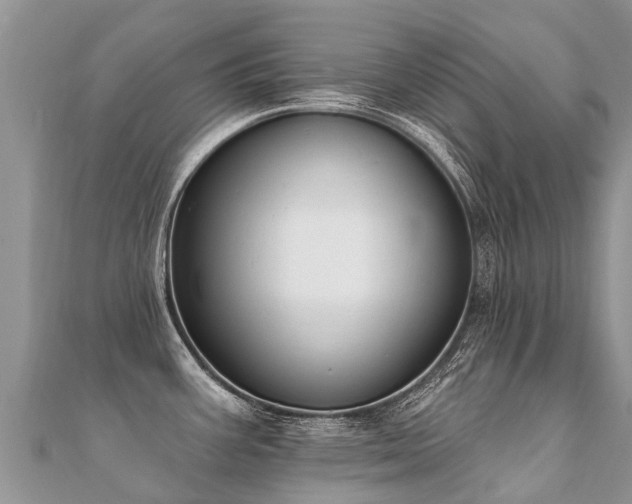 X0000112081387200908111446