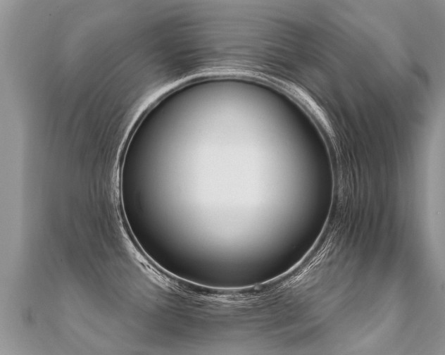 X0000112081388200908111446