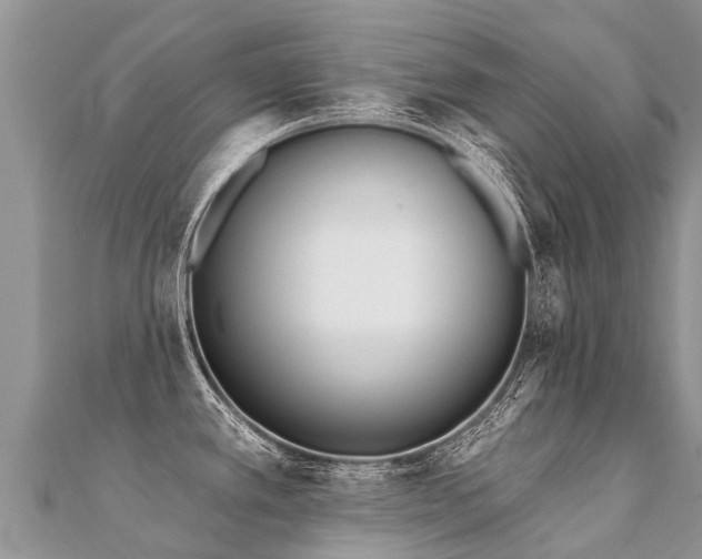X0000112081389200908111446