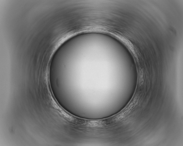 X0000112081390200908111445
