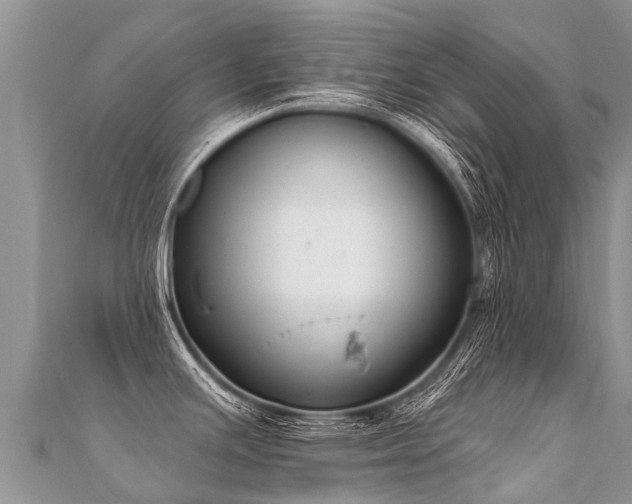 X0000112081391200908111445