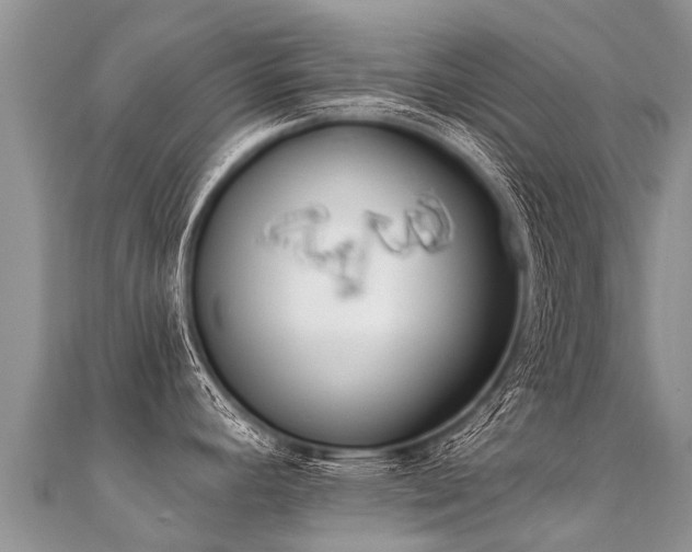 X0000112081392200908111445