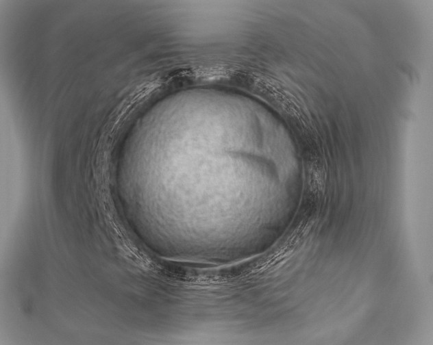 X0000112081393200908111445