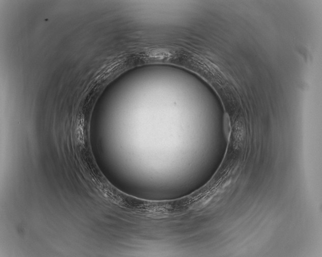 X0000112081394200908111445
