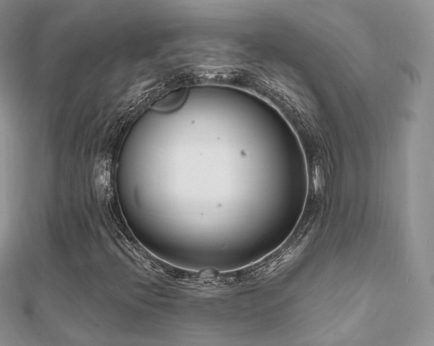X0000112081396200908111445